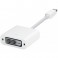 Apple Mini DisplayPort naar DVI Adapter