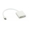 Apple Mini DisplayPort naar DVI Adapter